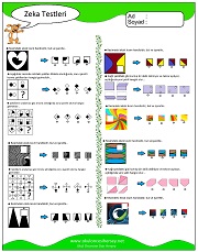 Zeka Gelişim Testleri